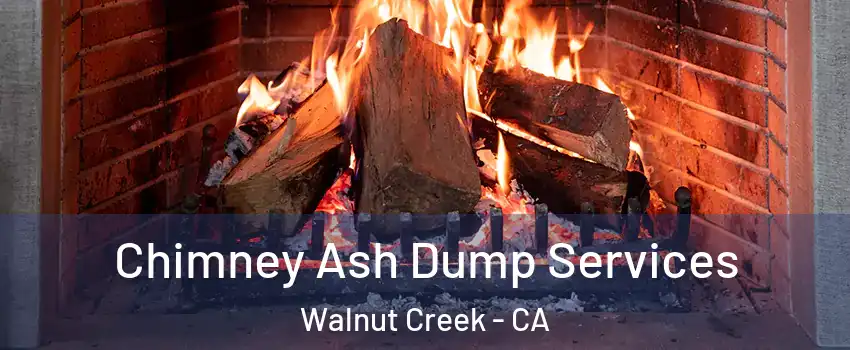  Chimney Ash Dump Services Walnut Creek - CA