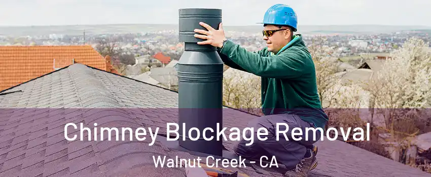  Chimney Blockage Removal Walnut Creek - CA