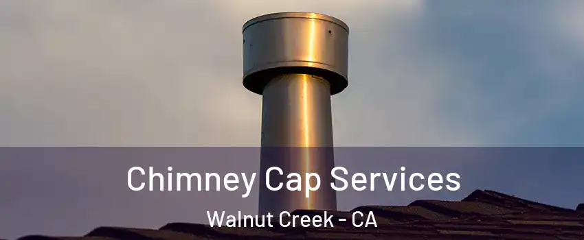  Chimney Cap Services Walnut Creek - CA