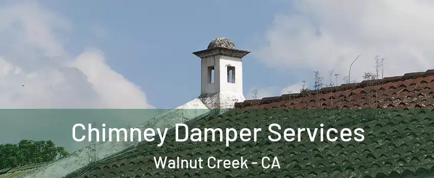  Chimney Damper Services Walnut Creek - CA