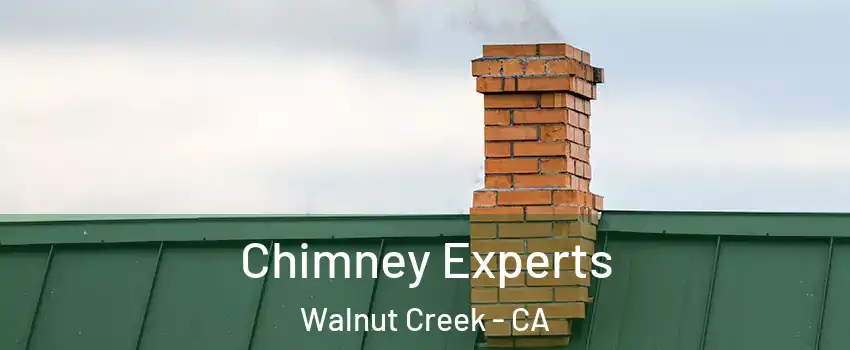 Chimney Experts Walnut Creek - CA