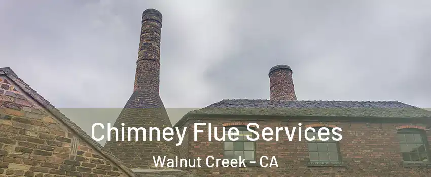  Chimney Flue Services Walnut Creek - CA