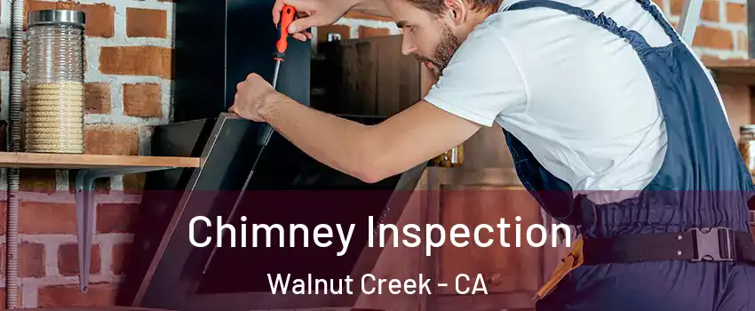  Chimney Inspection Walnut Creek - CA