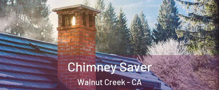  Chimney Saver Walnut Creek - CA