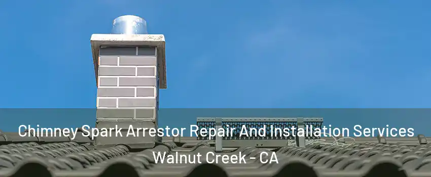  Chimney Spark Arrestor Repair And Installation Services Walnut Creek - CA