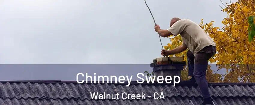  Chimney Sweep Walnut Creek - CA