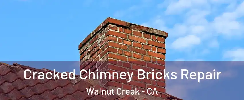  Cracked Chimney Bricks Repair Walnut Creek - CA