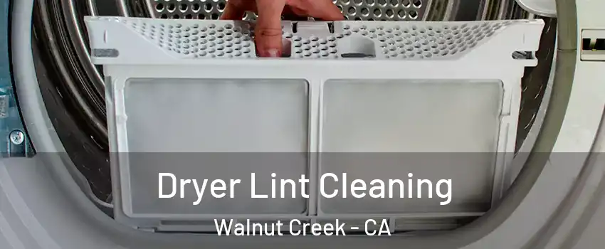  Dryer Lint Cleaning Walnut Creek - CA