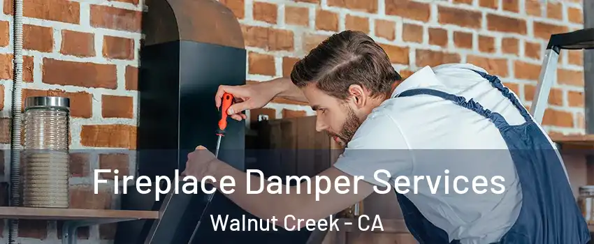  Fireplace Damper Services Walnut Creek - CA