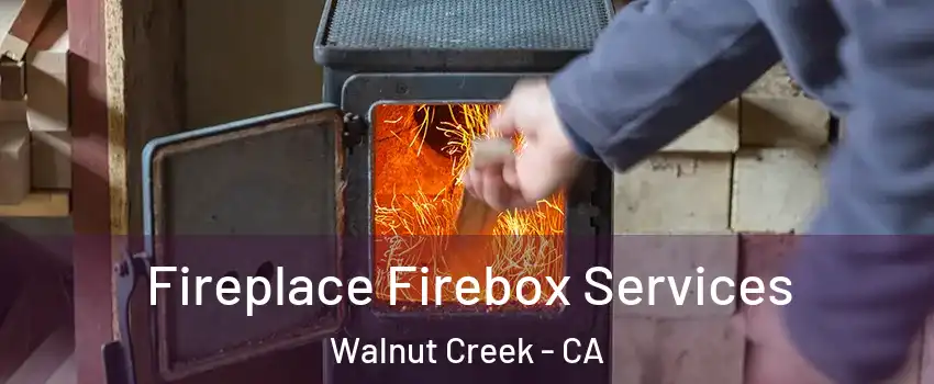  Fireplace Firebox Services Walnut Creek - CA