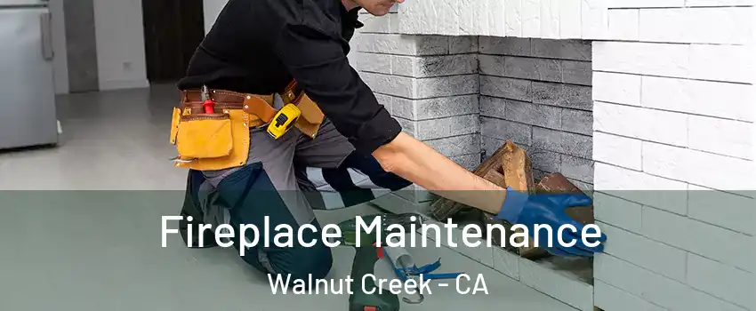  Fireplace Maintenance Walnut Creek - CA