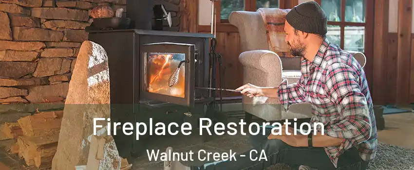  Fireplace Restoration Walnut Creek - CA