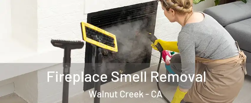  Fireplace Smell Removal Walnut Creek - CA