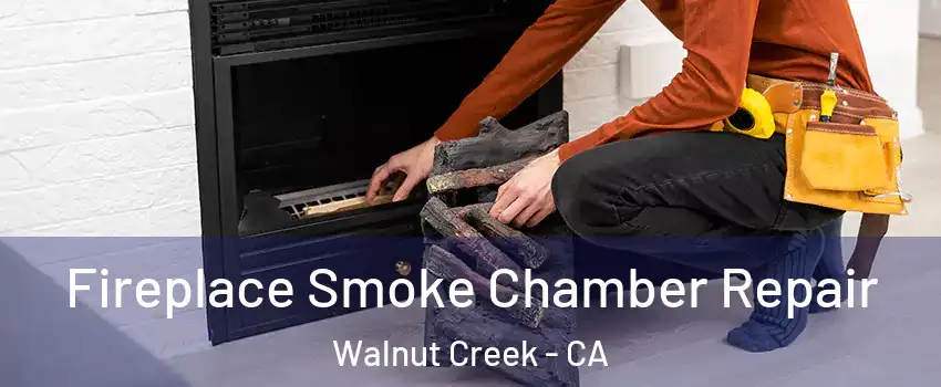  Fireplace Smoke Chamber Repair Walnut Creek - CA