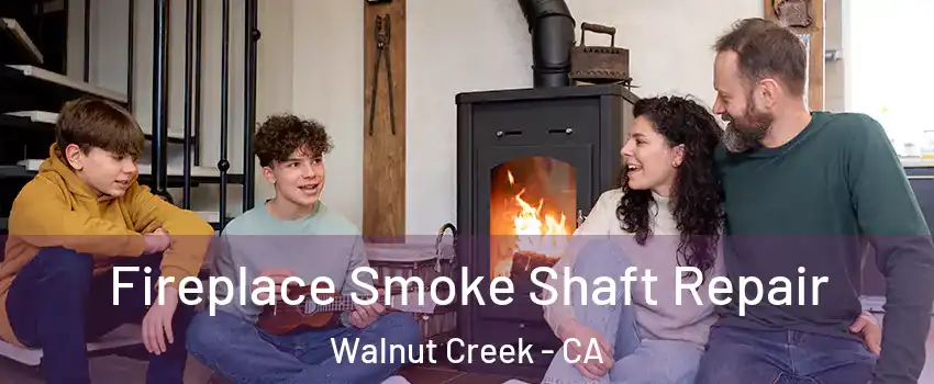  Fireplace Smoke Shaft Repair Walnut Creek - CA