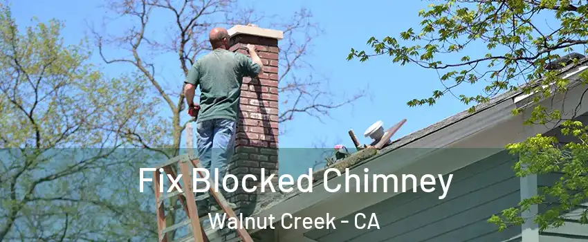  Fix Blocked Chimney Walnut Creek - CA