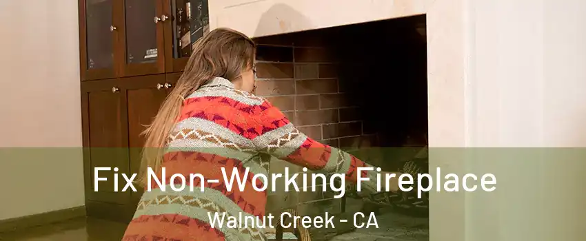  Fix Non-Working Fireplace Walnut Creek - CA