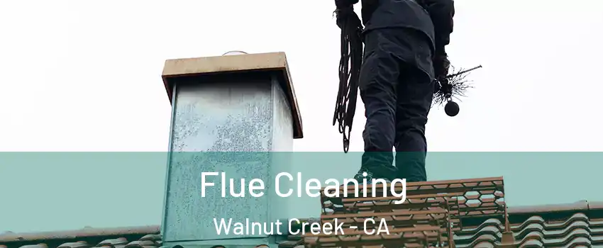  Flue Cleaning Walnut Creek - CA