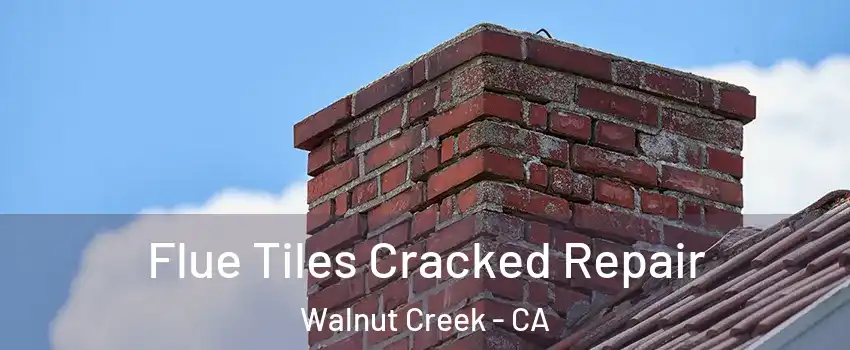  Flue Tiles Cracked Repair Walnut Creek - CA