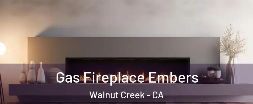  Gas Fireplace Embers Walnut Creek - CA