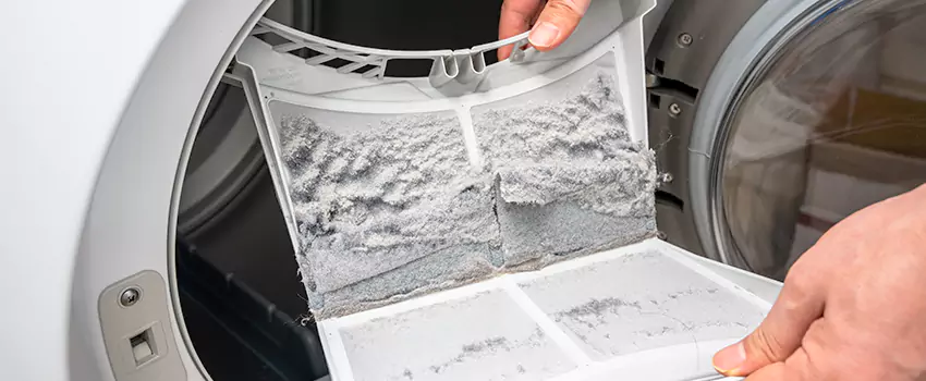 Best Dryer Lint Removal Company in Walnut Creek, California