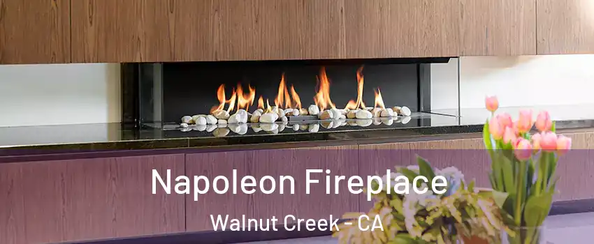  Napoleon Fireplace Walnut Creek - CA