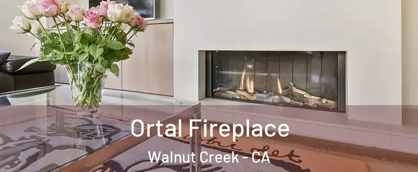 Ortal Fireplace Walnut Creek - CA
