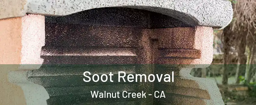  Soot Removal Walnut Creek - CA