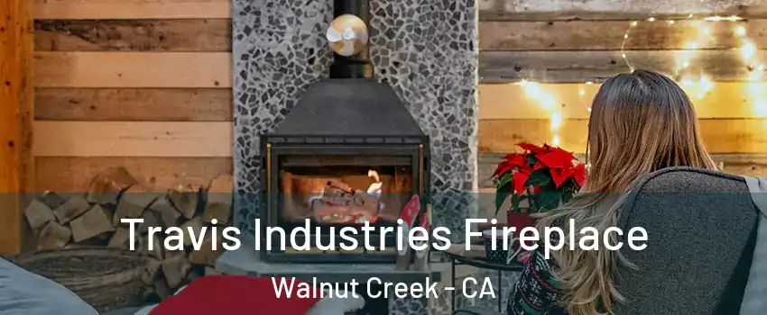  Travis Industries Fireplace Walnut Creek - CA