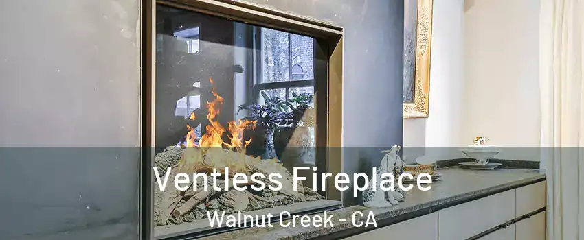  Ventless Fireplace Walnut Creek - CA